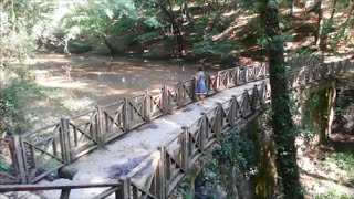 Belgrad Ormanı / istanbul