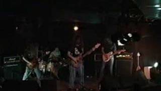 Suzukiton - Meatal