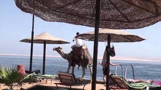 Marina - Hotel Arabia Azur Resort in Hurghada