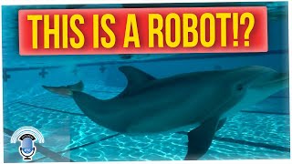 Hyper-Realistic Robot Dolphins Could Replace Live Animals?!
