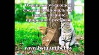 Куда пойти учиться