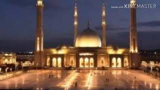#معلومات عن مسجد الفتاح العليم اكبر مسجد في العالم