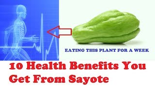 10 UNBELIEVABLE HEALTH BENEFITS OF CHAYOTE (SAYOTE) MOST PEOPLE ARE NOT AWARE OF!