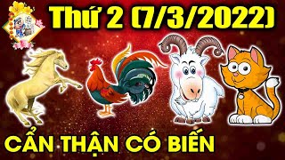 Tu Vi Hang Ngay, 4 Con Giáp Có Duyên Biết Mệnh, Qua Mọi Tai Ương Đến Thời Sung Sướng.