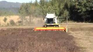 CLAAS LEXION 560