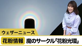 【花粉情報】魔のサークル「花粉光環」