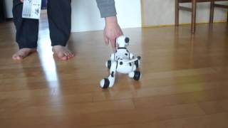 인공지능 강아지 로봇 줌머/ Zoomer Interactive Dog - Dalmation