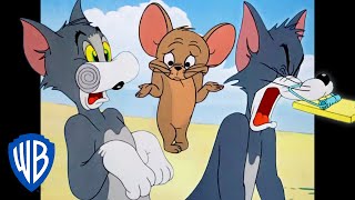 Tom y Jerry en Latino | Tom lo consigue | WB Kids