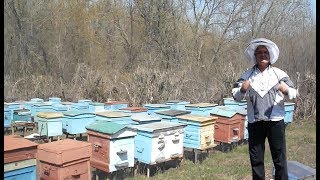 В чем преимущество лежака перед даданом? ИТОГИ зимовки.