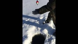 Рыбалка на пружинную хапугу.2019.Река Обор ,Хабаровский край.