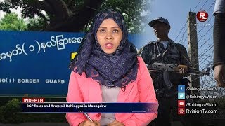 Rohingya Daily News 30 October 2017
