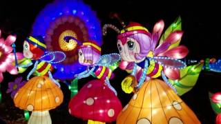 Chinese Lantern Festival, Columbus, Ohio