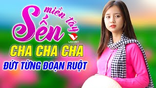 ĐỨT TỪNG ĐOẠN RUỘT - LK Cha Cha Cha SẾN Miền Tây - Dân Ca Miền Tây 2020 Tuyển Chọn Hay Nhất