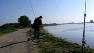 Žvejyba