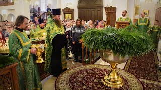 ВЕРБНОЕ ВОСКРЕСЕНЬЕ: ОСВЯЩЕНИЕ ПАЛЬМОВЫХ ВЕТВЕЙ (ВАИЙ)