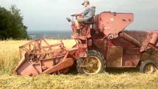 Massey Ferguson 31 wheat harvest 2013 part 1