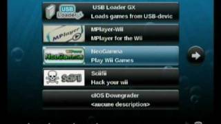 WII - Jouer a des backups avec neogamma