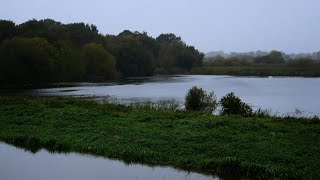 Cold Rain Sounds on Tin Roof & Lake Water | Rainy Day Weather Sounds for Sleep, Relaxing, Insomnia