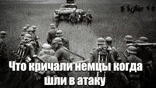 Что Кричали Немцы Когда Шли в Атаку Воспоминания Ветерана ВОВ