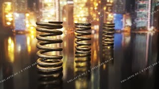 ПРУЖИНА КЛАПАНА DOHC 2.4 л. EDZ