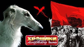 Жил был пес. Хроники московского быта | Центральное телевидение