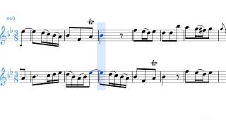 テレマン 6つのカノンソナタ2 3 Telemann 6 Canonic Sonatas for Two Flutes TWV40