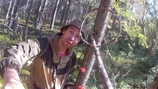 Проверка силков || Проверка фотоловушек || Чутье не подвело