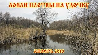 Ловля плотвы на удочку в апреле 2018