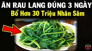 Ăn Rau Lang Thế Này Bổ Hơn 100 Lần Thuốc Bổ, Cứ Ăn Vào Là T­r­ư­­ờ­n­g T­h­ọ