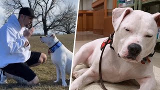 Man learns sign language for his rescued deaf puppy