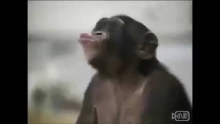 GYOVND