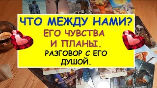 ЧТО МЕЖДУ НАМИ? ЕГО ЧУВСТВА И ПЛАНЫ. Разговор с его душой. Diamond Dream. Гадание Таро онлайн.