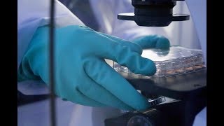 Trailhead Biosystems Offering a Path Towards Cures