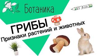 ГРИБЫ.ЕГЭ|ОГЭ.Признаки растений и животных.