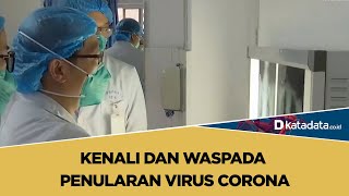Kenali dan Waspada Penularan Virus Corona | Katadata Indonesia