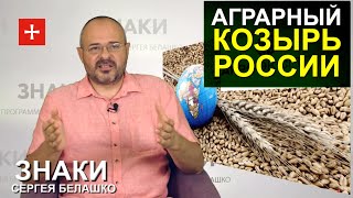 Импортозамещение в России вышло на новый уровень. ЗНАКИ Сергея Белашко