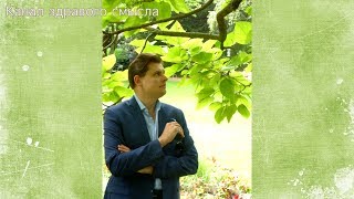 Е. Понасенков: отказ от всего западного, судейская свадьба, Путин-18, Поплавская, стиль
