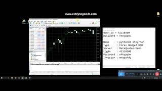 BASIC API MT5[PYTHON MetaTrader 5] EP1 : การติดตั้ง MT5 และ เขียนให้เชื่อมต่อกับ MT5 เบื้องต้น