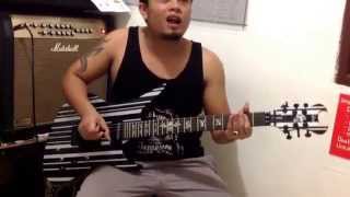 Cecksound schecter synyster Gates custom(pick up sustainic)