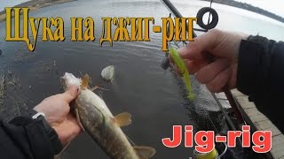 Щука на джиг риг #Jig rig