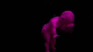 All Video Scenes - The Complete Dancing Baby Screensaver  (1998)