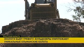 Бульдозеры уничтожают уникальные Ольманские болота