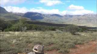 Vervet Monkey Headshot @ 300m (22-250)