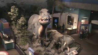 Spotlight On St. Louis || The St. Louis Science Center