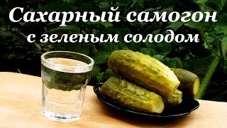 Сахарный самогон, рецепт браги с зеленым солодом