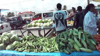 guyana vacation 2011