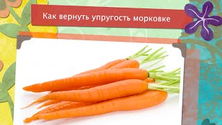Как вернуть упругость моркови