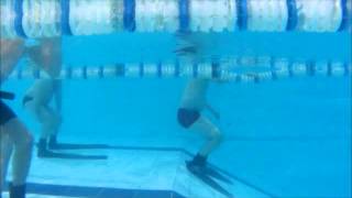 Обучение апное в бассейне www.divesvg.ru