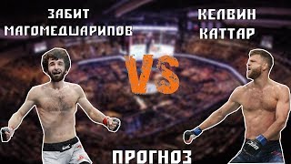 Забит Магомедшарипов Против Келвина Каттара  Прогноз