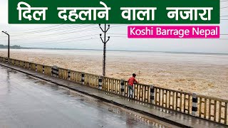 Rising Water Level at Koshi Barrage I क्या कोशी बांध फिर टूटेगा? Koshi Barrage, Nepal I Koshi River